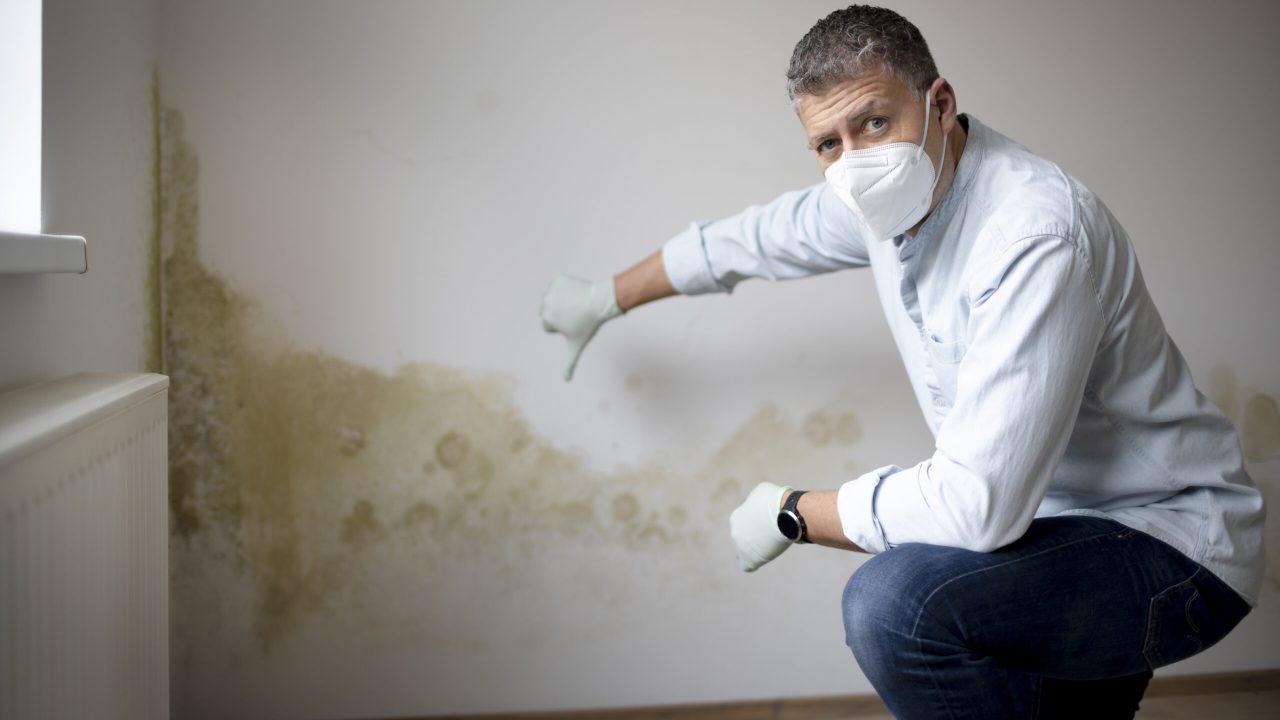 Man with mouth nose mask and blue shirt in front of wall with mold Man with mouth nose mask and blue shirt and gloves n front of white wall with mold